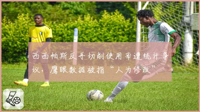 西西帕斯反手切削使用率遭统计争议，鹰眼数据被指“人为修改”