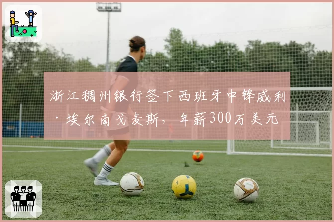 浙江稠州银行签下西班牙中锋威利·埃尔南戈麦斯，年薪300万美元