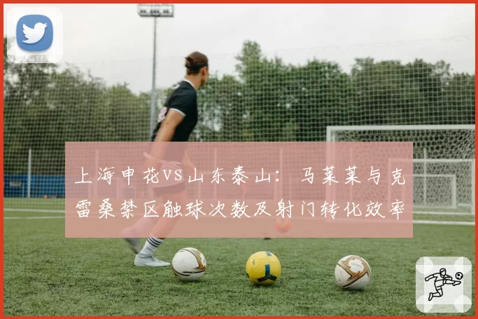 上海申花vs山东泰山：马莱莱与克雷桑禁区触球次数及射门转化效率差异